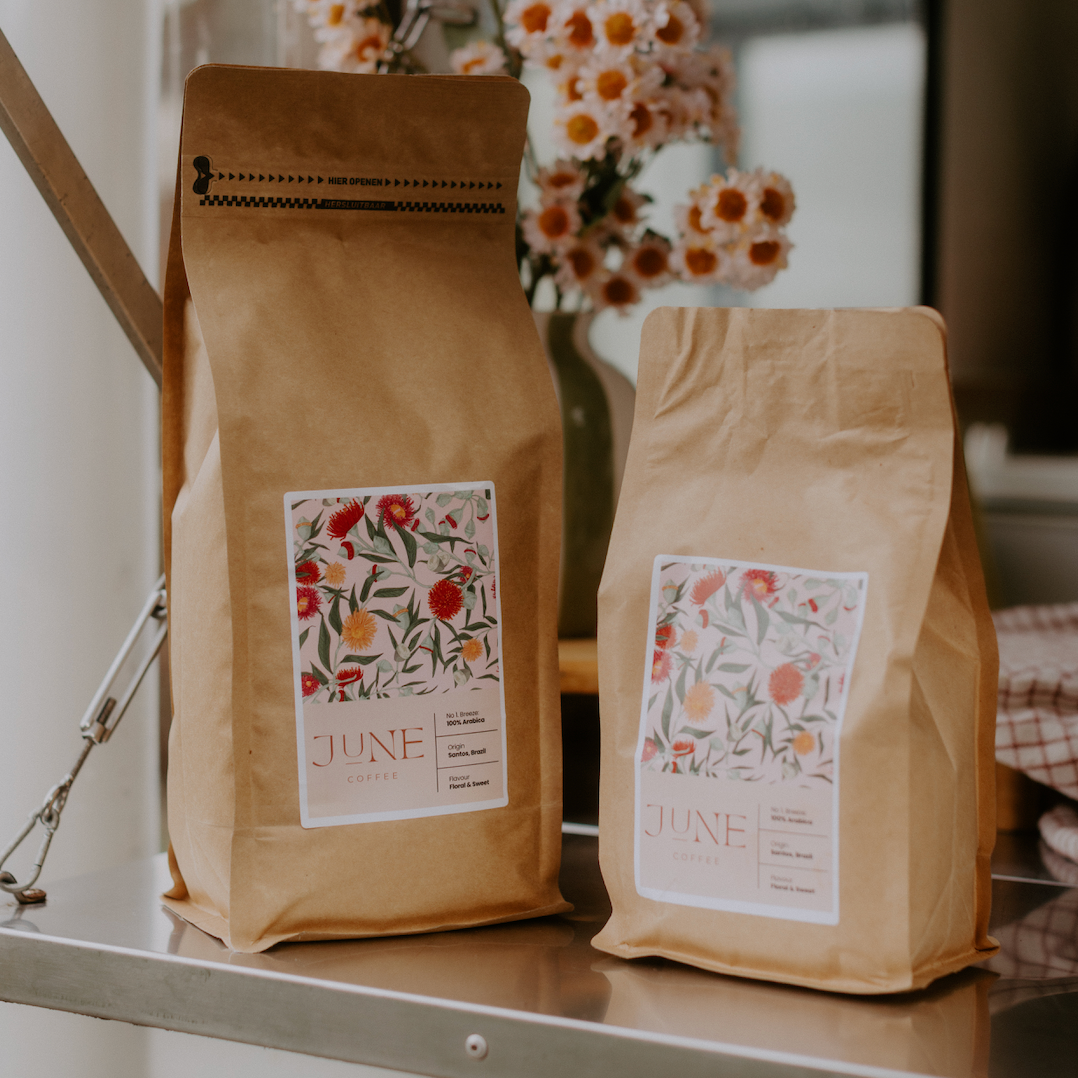 No. 1 Breeze - Santos Brazil