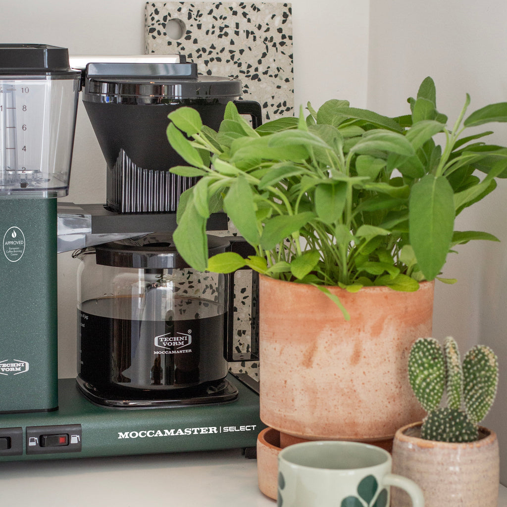 Moccamaster KGB Select Forrest Green Lifestyle Foto met planten, keramieke kopjes en een havermout koek