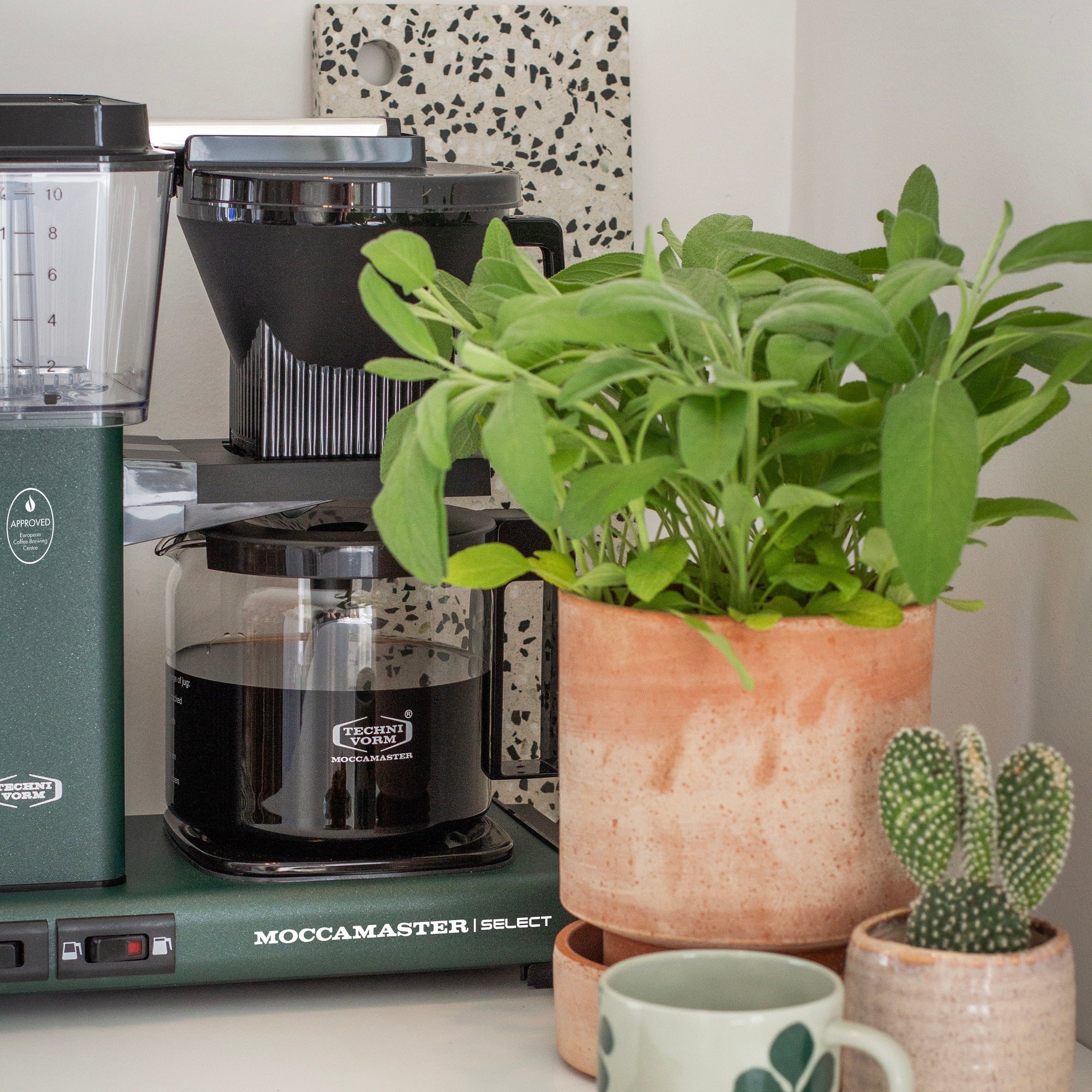 Moccamaster KGB Select Forrest Green Lifestyle Foto met planten, keramieke kopjes en een havermout koek